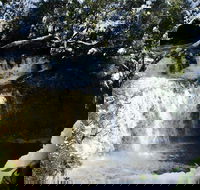 Cradle Mountain Day Tour from Launceston Including Lunch - Yarra Valley Accommodation