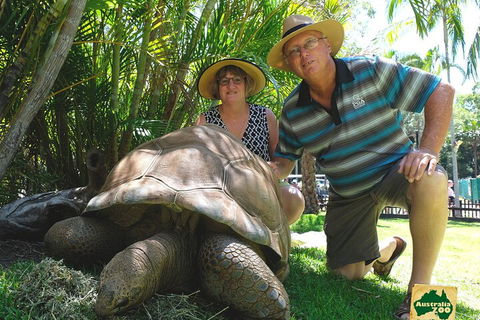 Small-Group Australia Zoo Day Trip From Brisbane - Yarra Valley Accommodation 1