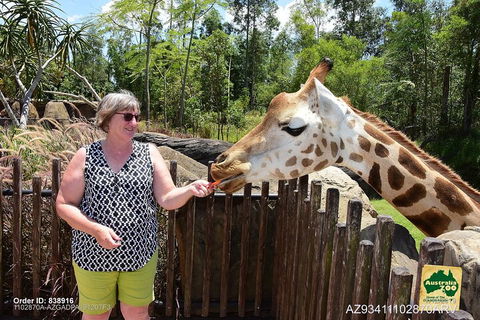 Small-Group Australia Zoo Day Trip From Brisbane - Yarra Valley Accommodation 2