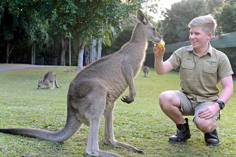 Small-Group Australia Zoo Day Trip From Brisbane - Yarra Valley Accommodation 4