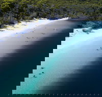 All-Inclusive Fraser Island Day Tour - Yarra Valley Accommodation