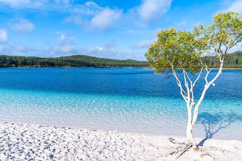 Lake McKenzie Full-Day Tour With Lunch From Hervey Bay - Yarra Valley Accommodation 1