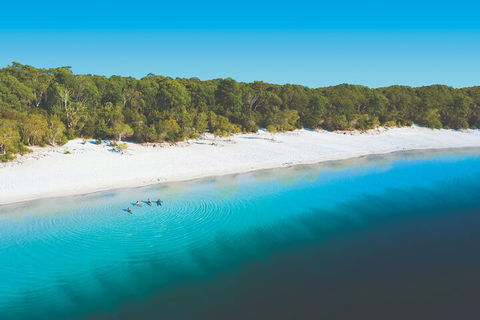 Lake McKenzie Full-Day Tour With Lunch From Hervey Bay - Yarra Valley Accommodation 4