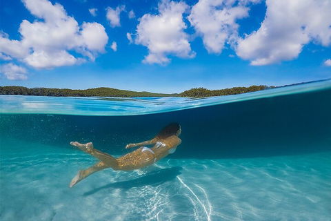 Lake McKenzie Full-Day Tour With Lunch From Hervey Bay - Yarra Valley Accommodation 5