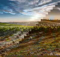 Perth to Margaret River Wine Tour - 2 Day Premium Boutique Wine Tour Experience - Yarra Valley Accommodation