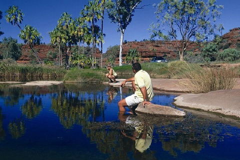 Palm Valley 4WD Day Tour - Yarra Valley Accommodation 1