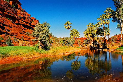 Palm Valley 4WD Day Tour - Yarra Valley Accommodation 2