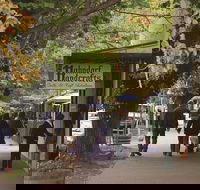 Adelaide Highlights Hahndorf  McLaren Vale Wine Tasting and Sightseeing Tour - Yarra Valley Accommodation