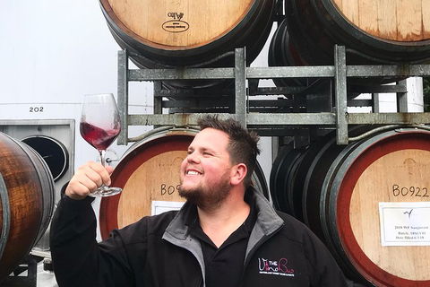 Mount Tamborine Wine Tasting Tour From Brisbane Or The Gold Coast - Yarra Valley Accommodation 2