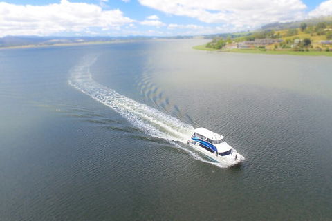 2.5 Hour Afternoon Discovery Cruise Including Cataract Gorge Departs At 1: 30 Pm - Yarra Valley Accommodation 0