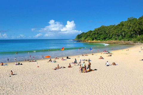 Noosa Everglades Serenity Cruise & Highlights Tour Inc. Lunch & Cruise - Yarra Valley Accommodation 4