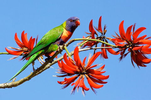 Half Day Perth & Fremantle Highlights - Yarra Valley Accommodation 2
