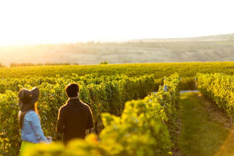 Margaret River Private Tour - Yarra Valley Accommodation 2