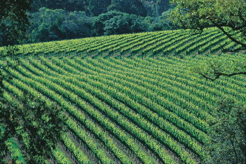 Margaret River Private Tour - Yarra Valley Accommodation 4