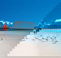 Margaret River and Geographe Bay Region Day Trip from Perth - Yarra Valley Accommodation
