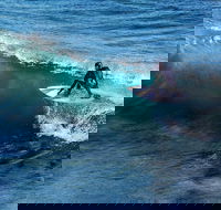 Great Ocean Road Highlights Tour - 2 Days 1 Night - Yarra Valley Accommodation