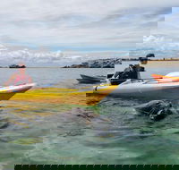 Seal Island and Penguin Island or Point Peron Sea Kayak Tour - Yarra Valley Accommodation
