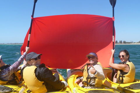 Seal Island And Penguin Island Or Point Peron Sea Kayak Tour - Yarra Valley Accommodation 2