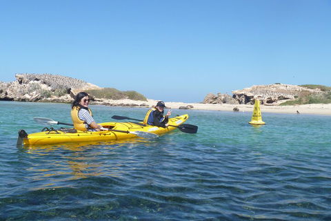 Seal Island And Penguin Island Or Point Peron Sea Kayak Tour - Yarra Valley Accommodation 3