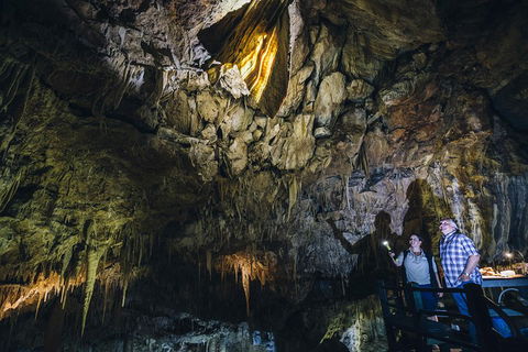 Ngilgi Cave Semi-guided Tour - Yarra Valley Accommodation 0