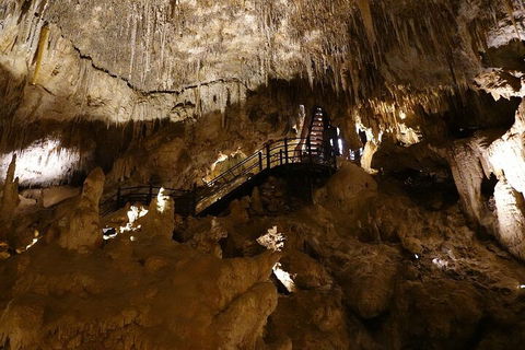 Ngilgi Cave Semi-guided Tour - Yarra Valley Accommodation 2