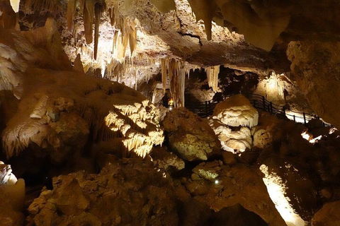 Ngilgi Cave Semi-guided Tour - Yarra Valley Accommodation 3