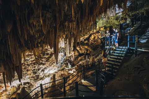 Ngilgi Cave Semi-guided Tour - Yarra Valley Accommodation 5