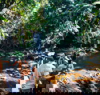 Aquaduck  Your choice of Gold Coast Rainforest Tour - Yarra Valley Accommodation