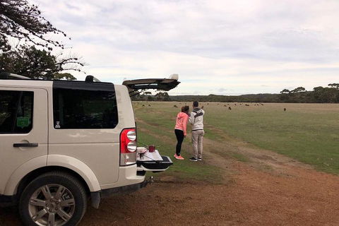 Kangaroo Island 4WD Tour - Flinders Chase - Yarra Valley Accommodation 3