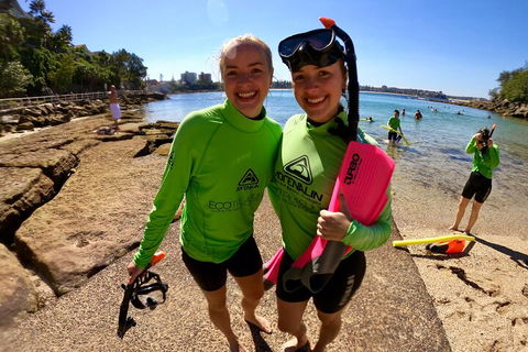 Manly Snorkel Trip And Nature Walk With Local Guide - Yarra Valley Accommodation 1