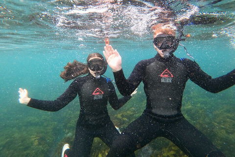 Manly Snorkel Trip And Nature Walk With Local Guide - Yarra Valley Accommodation 3