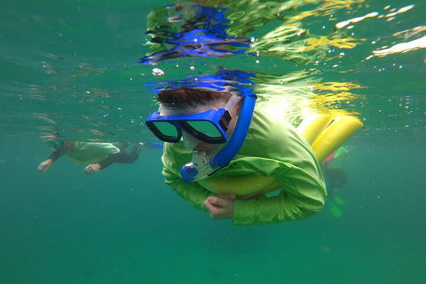 Manly Snorkel Trip And Nature Walk With Local Guide - Yarra Valley Accommodation 5