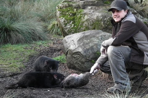 After Dark Tasmanian Devil Feeding Tour At Cradle Mountain - Yarra Valley Accommodation 2