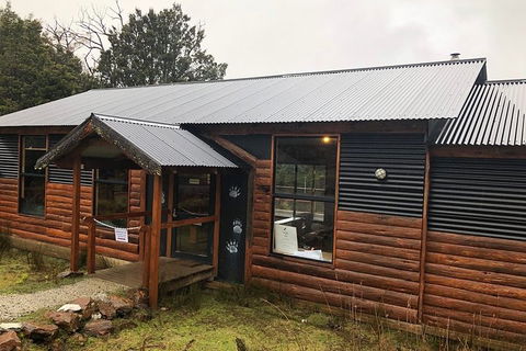 After Dark Tasmanian Devil Feeding Tour At Cradle Mountain - Yarra Valley Accommodation 3