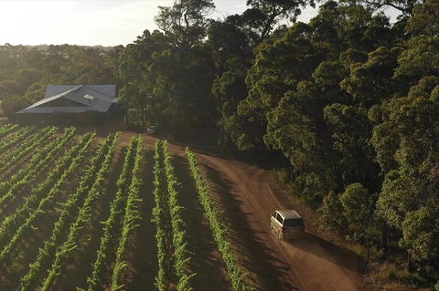 The All About Margaret River Tour: Wine, Coffee, Lunch And Forest - Yarra Valley Accommodation 1