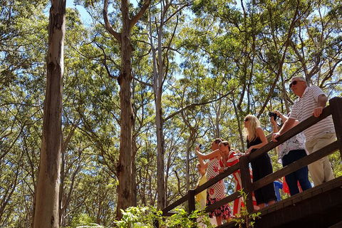 The All About Margaret River Tour: Wine, Coffee, Lunch And Forest - Yarra Valley Accommodation 3