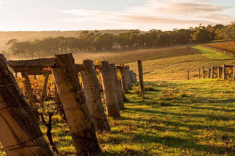 The All About Margaret River Tour: Wine, Coffee, Lunch And Forest - Yarra Valley Accommodation 5