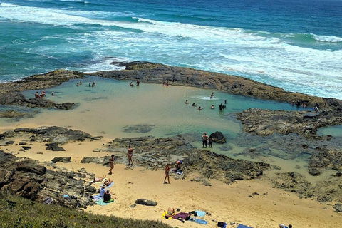 Pippies 3 Days 2 Nights Fraser Island Tour - Yarra Valley Accommodation 5