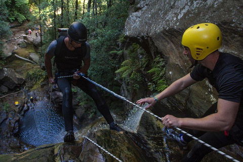 Blue Mountains Empress Canyon Adventure From Wentworth Falls - Yarra Valley Accommodation 2