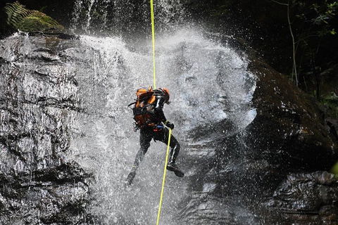 Blue Mountains Empress Canyon Adventure From Wentworth Falls - Yarra Valley Accommodation 3