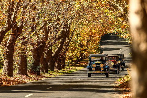 Blue Mountains Vintage Cadillac Tour With Local Guide - Yarra Valley Accommodation 1