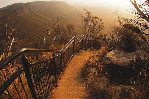 Blue Mountains Vintage Cadillac Tour With Local Guide - Yarra Valley Accommodation 3