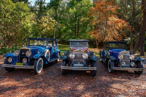 Blue Mountains Vintage Cadillac Tour With Local Guide - Yarra Valley Accommodation 4