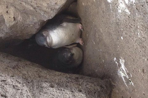 Food Tour Melbourne - St Kilda - Yarra Valley Accommodation 3