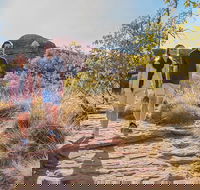 Kings Canyon Day Trip from Ayers Rock Uluru - Yarra Valley Accommodation