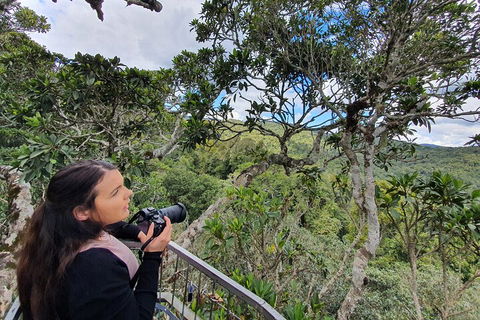 Lamington National Park, O'Reilly's & Vineyard Tour - Yarra Valley Accommodation 1