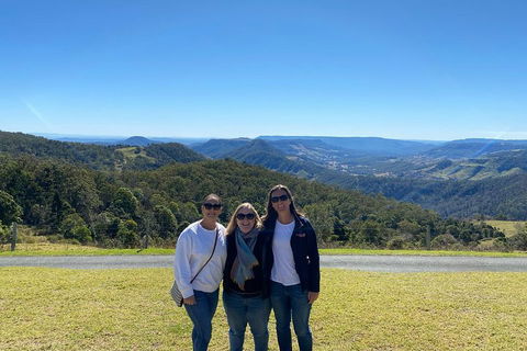 Lamington National Park, O'Reilly's & Vineyard Tour - Yarra Valley Accommodation 3