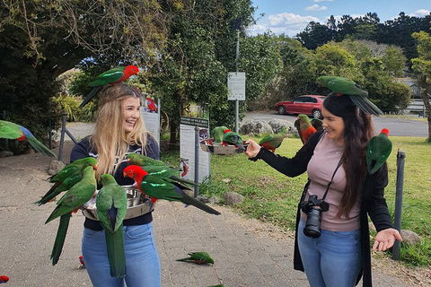 Lamington National Park, O'Reilly's & Vineyard Tour - Yarra Valley Accommodation 5