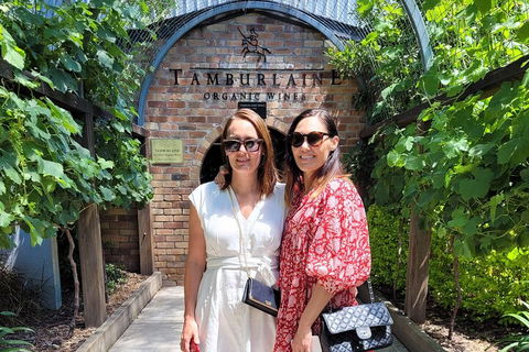 Hideaway Private Tours Hunter Valley- Indulgence Wine Tour (Full Day) - Yarra Valley Accommodation 5