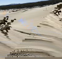 Port Stephens Bush Beach and Sand Dune 4WD Tag-Along Tour - Yarra Valley Accommodation